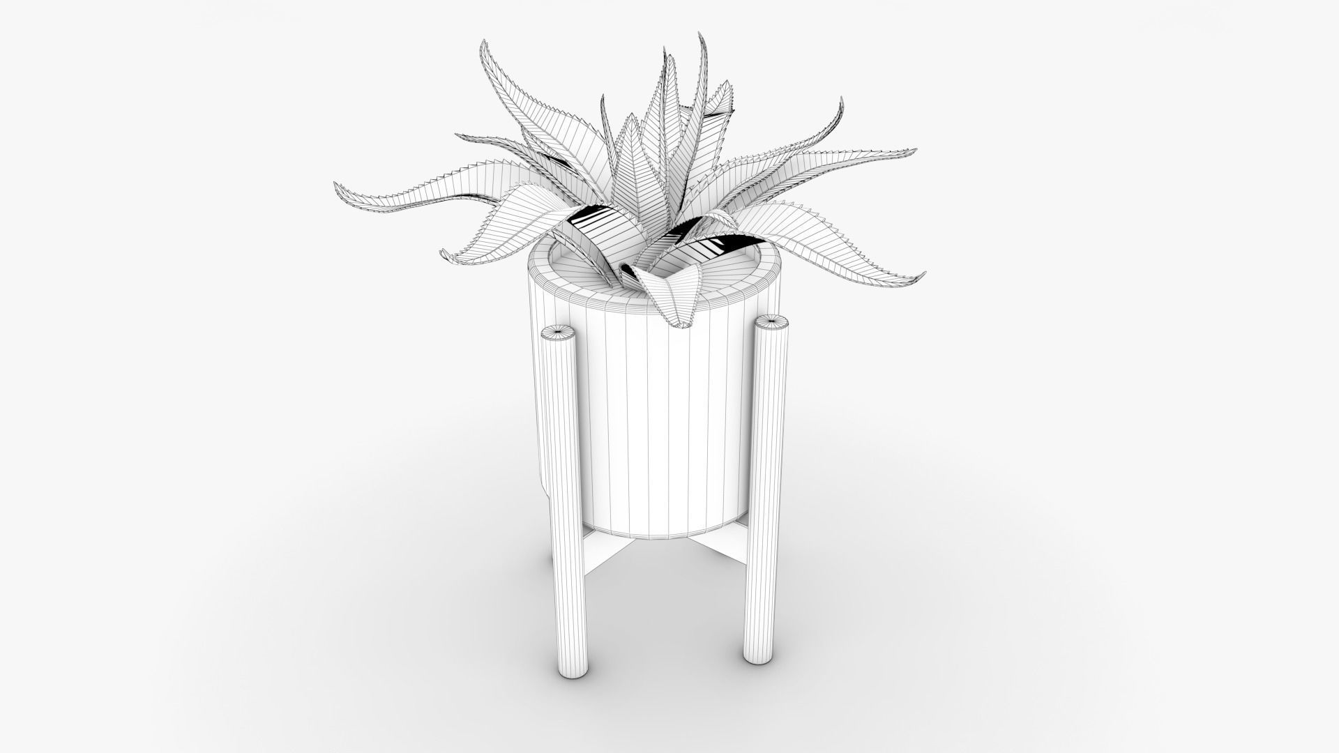 Aloe vera Pot Low-poly 3D model_9