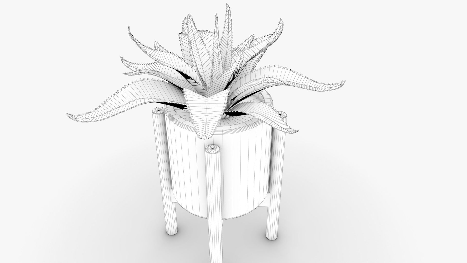 Aloe vera Pot Low-poly 3D model_8