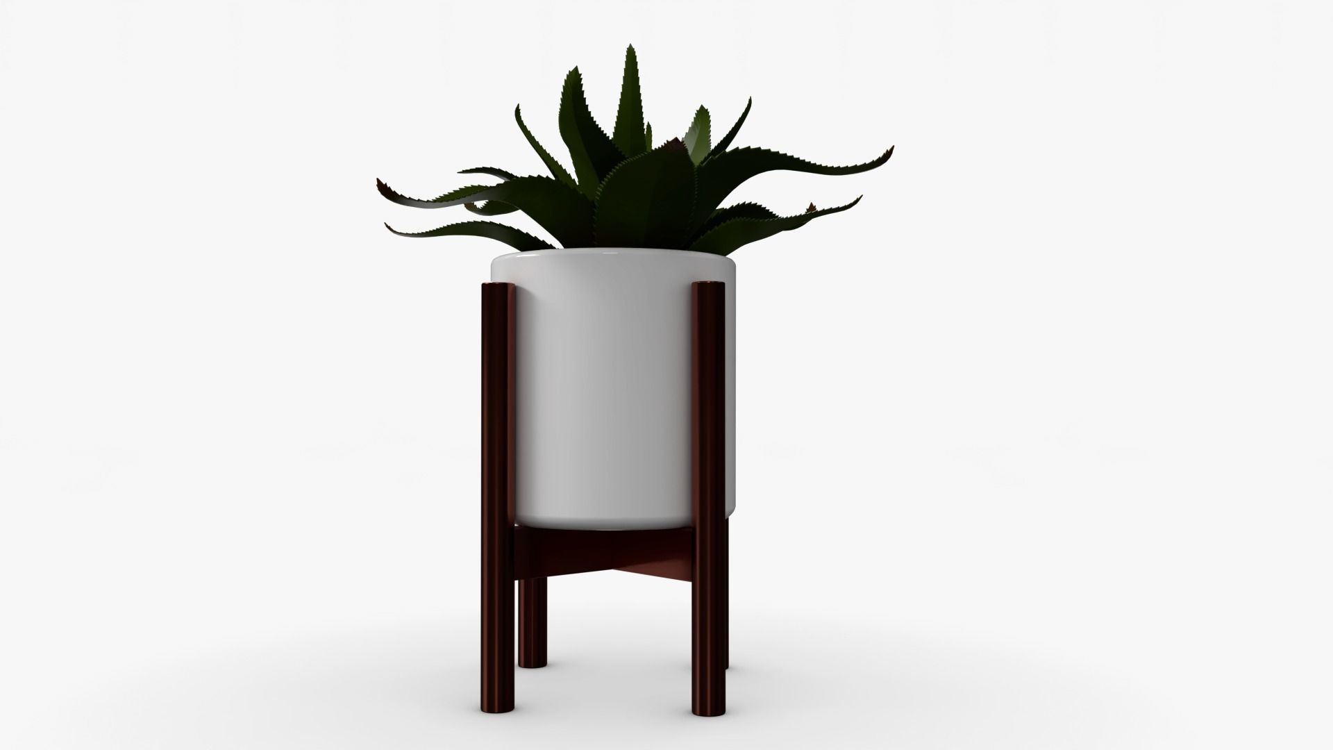 Aloe vera Pot Low-poly 3D model_5