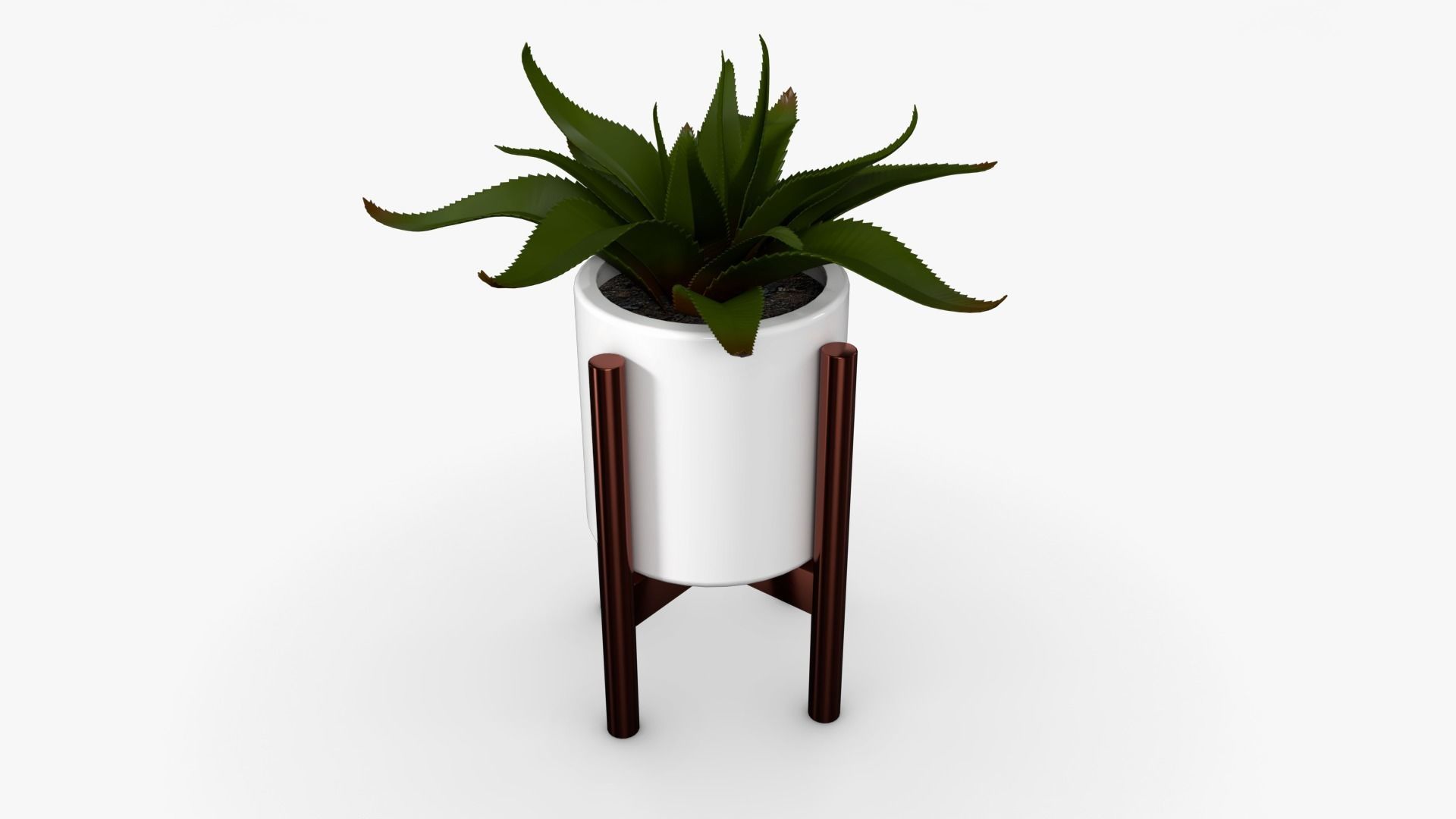 Aloe vera Pot Low-poly 3D model_4