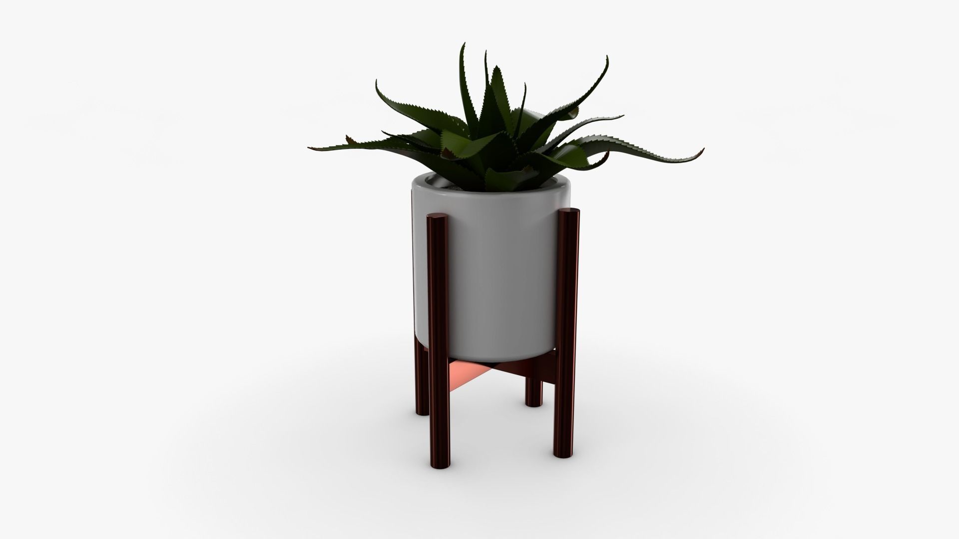 Aloe vera Pot Low-poly 3D model_6