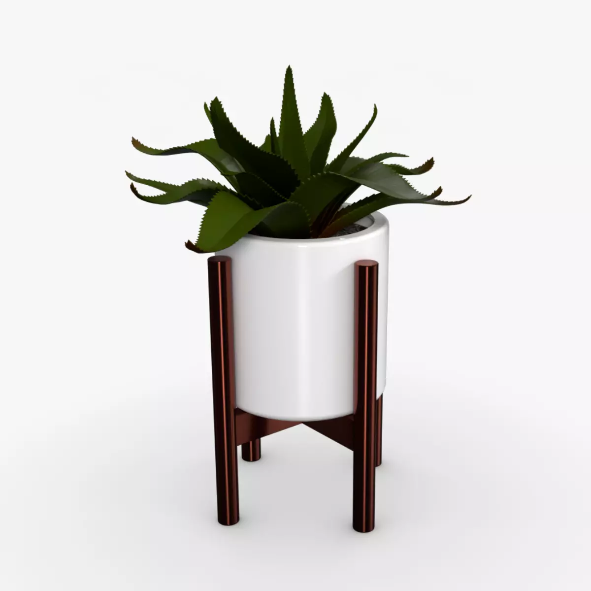 Aloe vera Pot Low-poly 3D model_0
