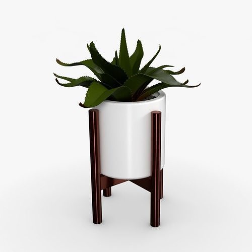 Aloe vera Pot Low-poly 3D model