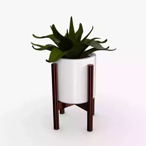 Aloe vera Pot Low-poly 3D model