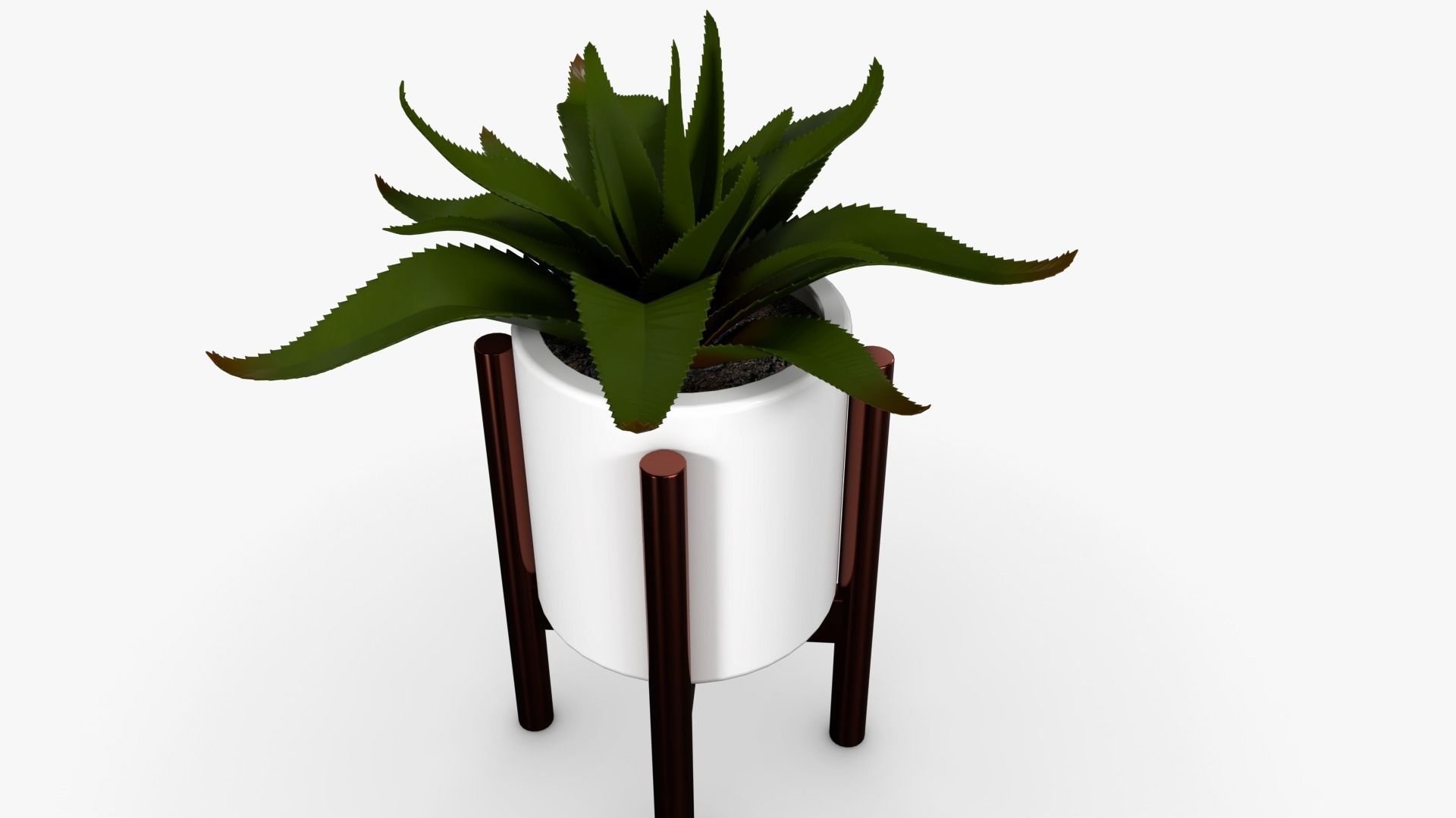 Aloe vera Pot Low-poly 3D model_3