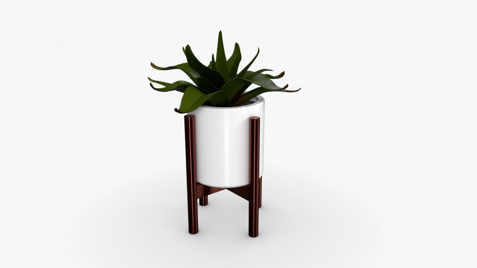 Aloe vera Pot Low-poly 3D model_2