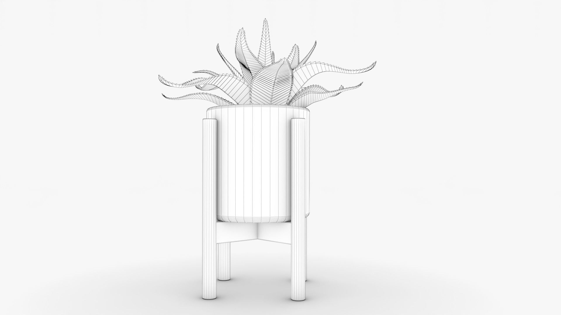 Aloe vera Pot Low-poly 3D model_10