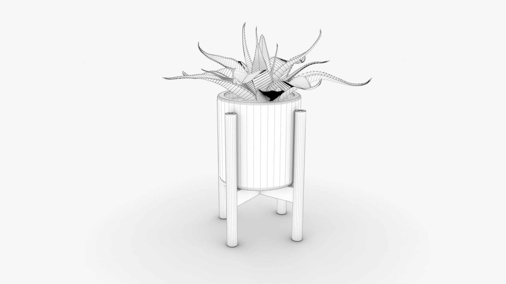 Aloe vera Pot Low-poly 3D model_11