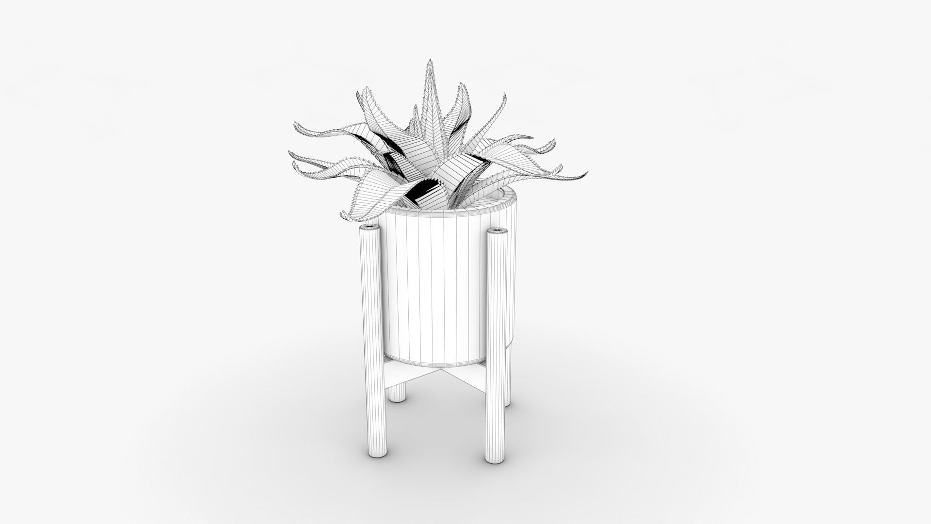 Aloe vera Pot Low-poly 3D model_7