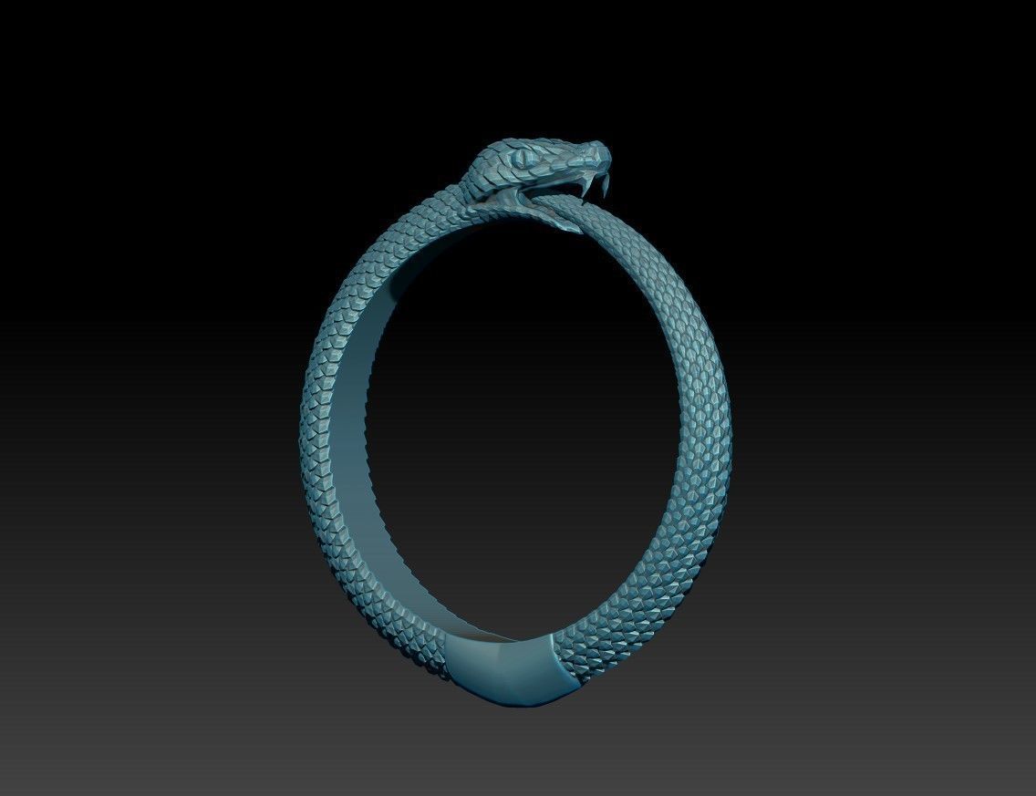Snake Ring Pendant Ouroboros Faceted 3D print model_10