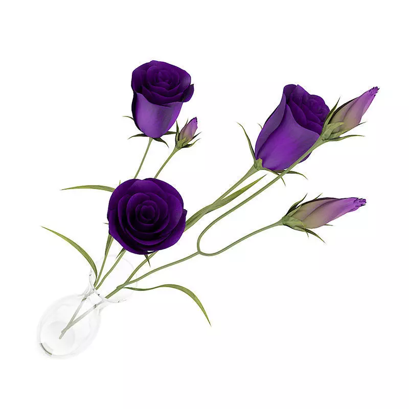 Eustoma Flowers in Vase 3D model