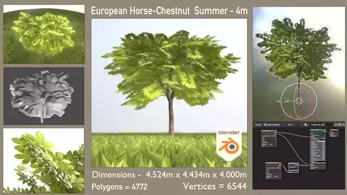 European Horse Chestnut 4m Summer Low-poly 3D model