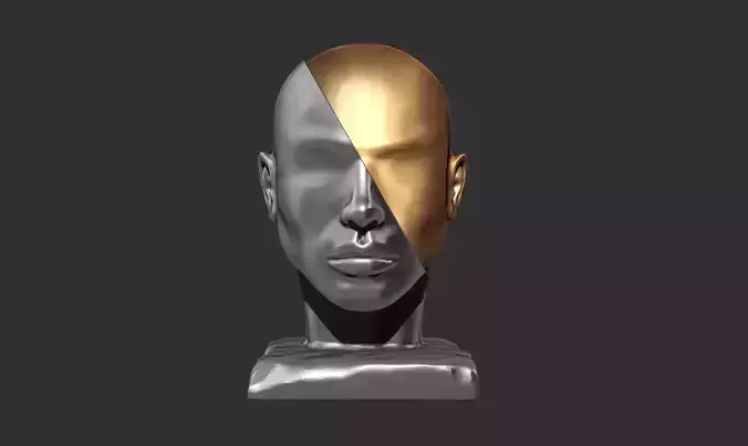 Abstract conceptual face sculpture