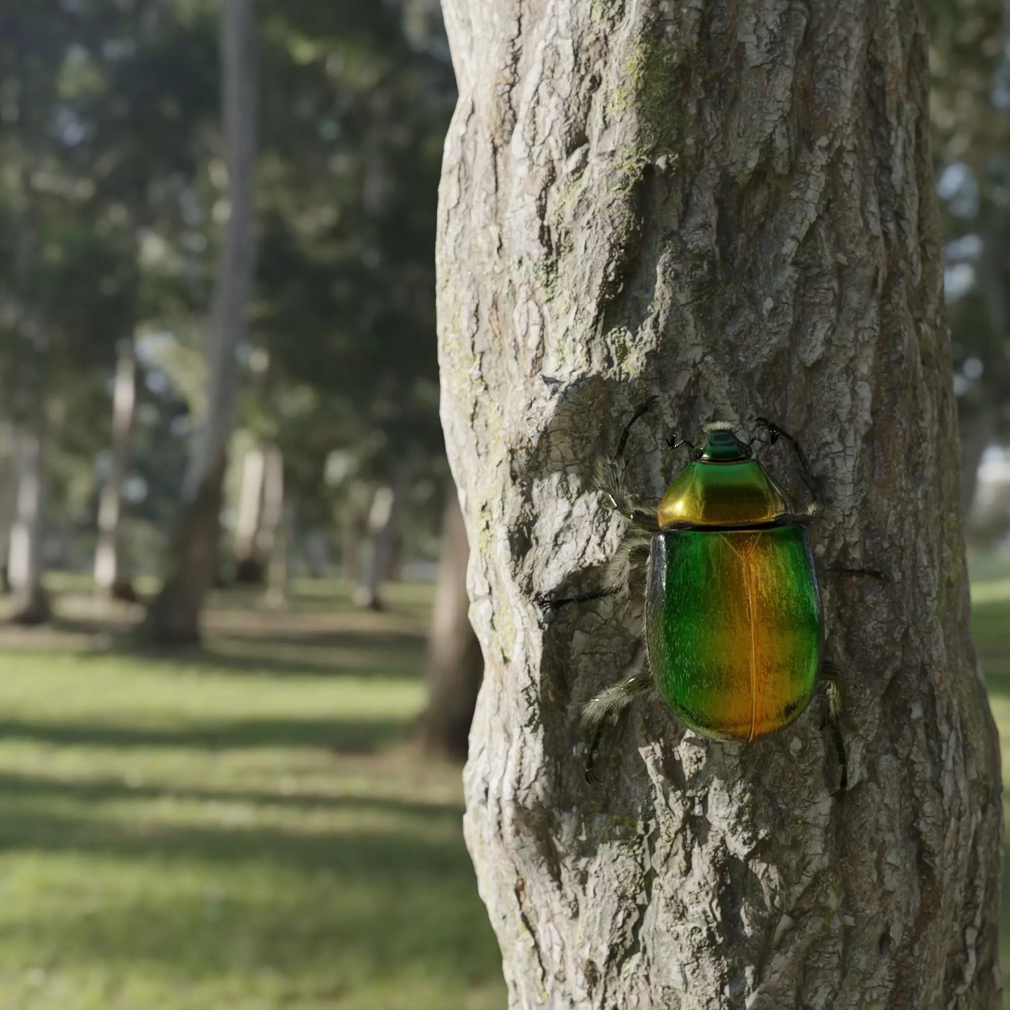 Green Scarabeus - Cetonia aurata 3D model