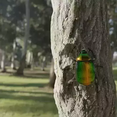 Green Scarabeus - Cetonia aurata 3D model