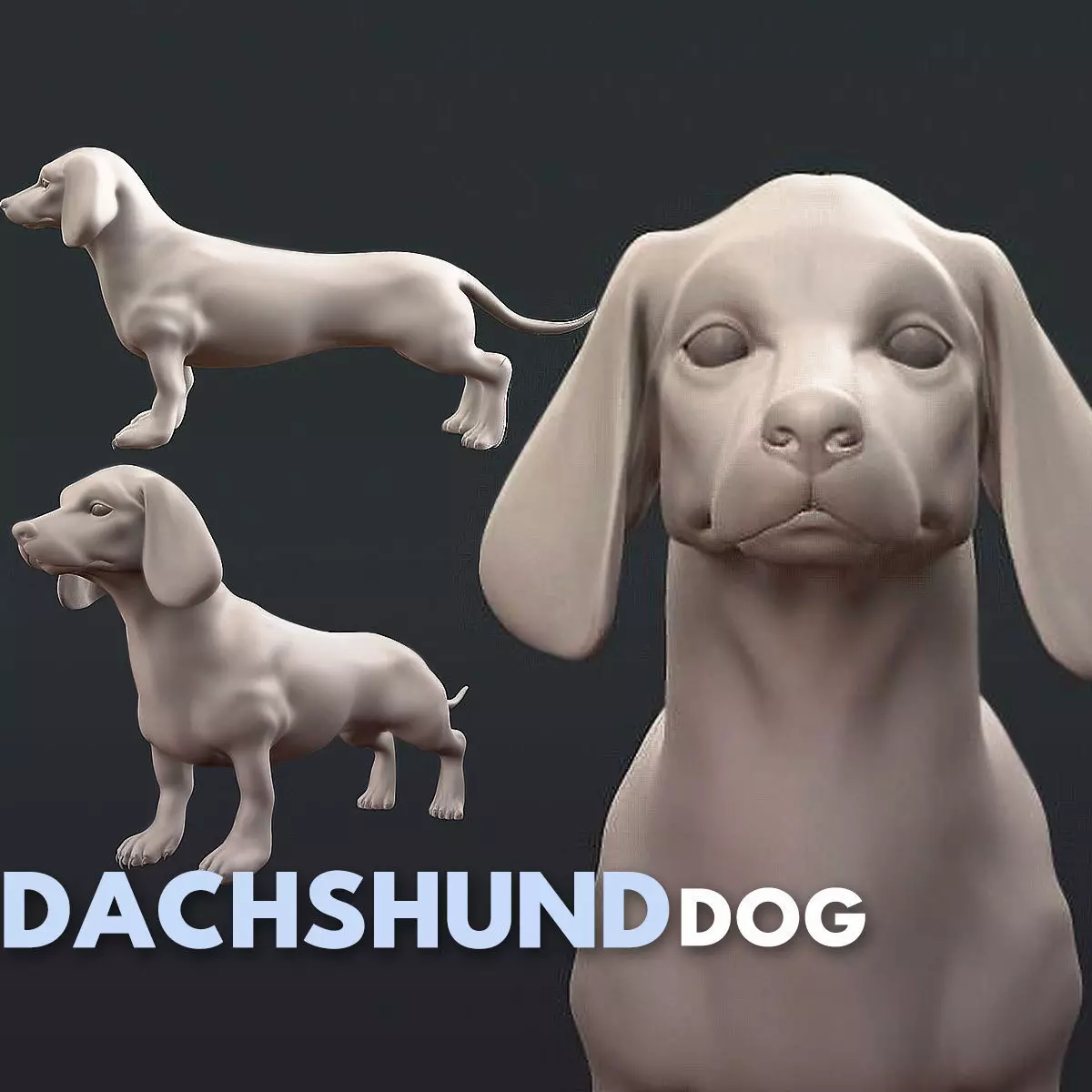 Dachshund Dog 3D model_0