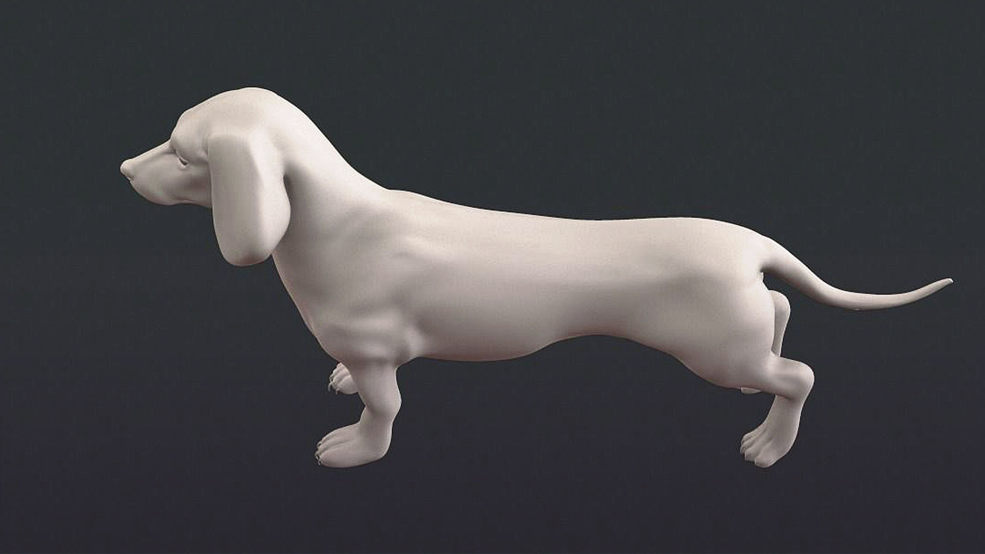 Dachshund Dog 3D model_4