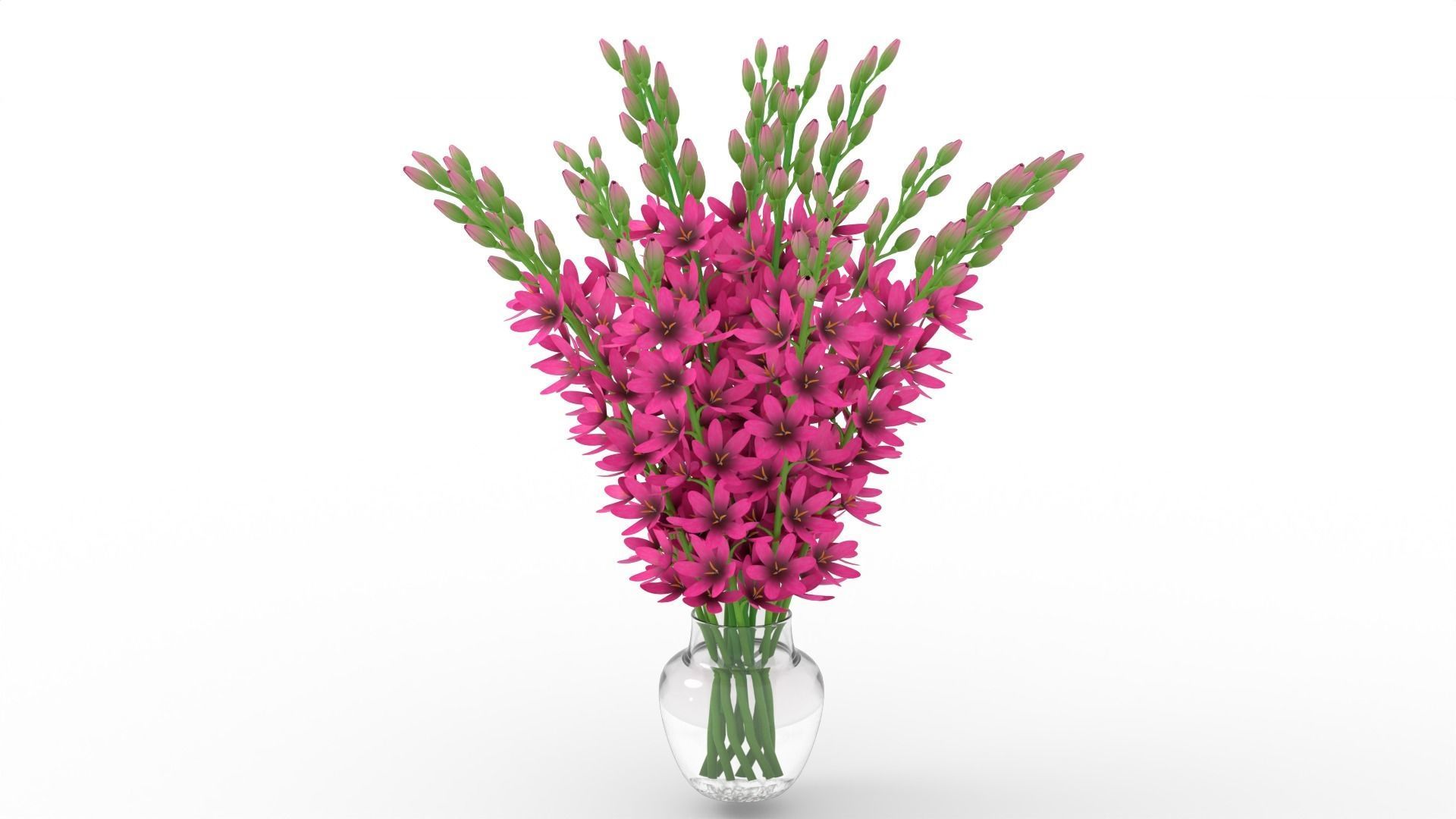3d Flower bouquet  3D model_6