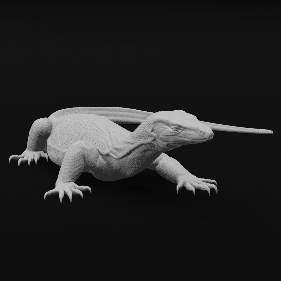 Asian Water Monitor - Lizard Reptile -  3D Print Model 3D print model_7