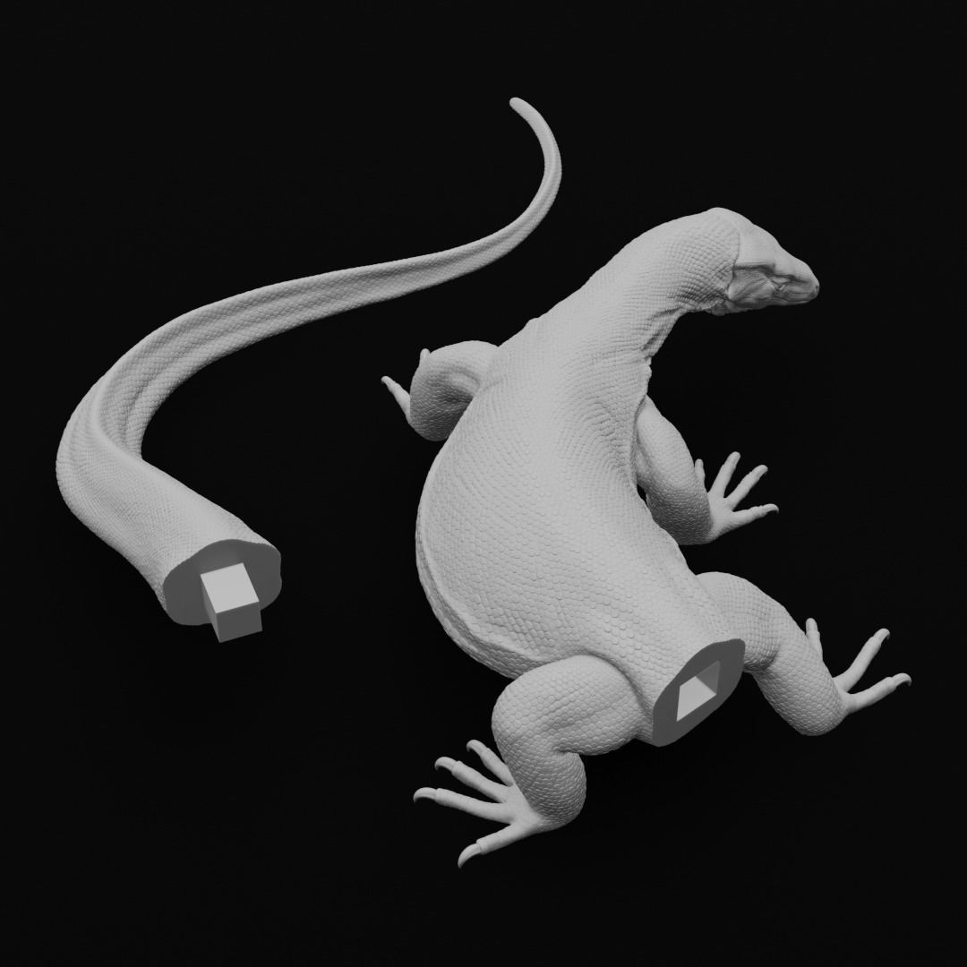 Asian Water Monitor - Lizard Reptile -  3D Print Model 3D print model_6