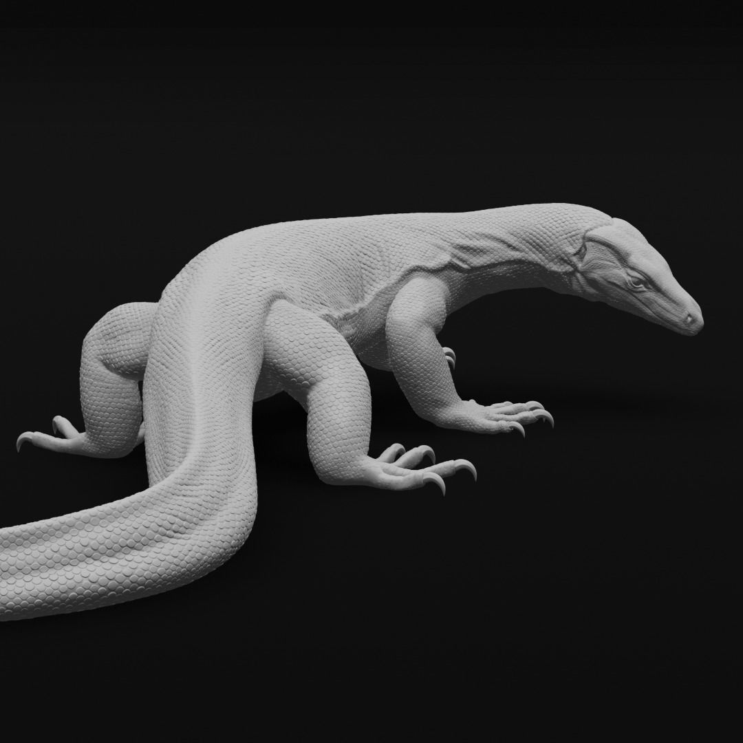 Asian Water Monitor - Lizard Reptile -  3D Print Model 3D print model_2