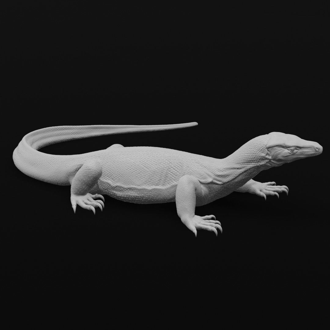 Asian Water Monitor - Lizard Reptile -  3D Print Model 3D print model_8