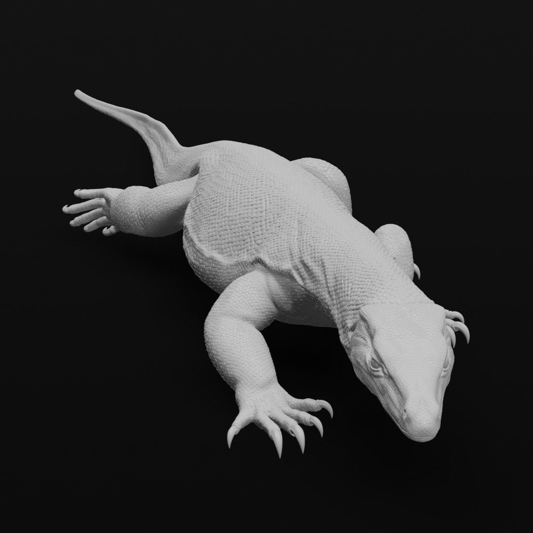 Asian Water Monitor - Lizard Reptile -  3D Print Model 3D print model_14