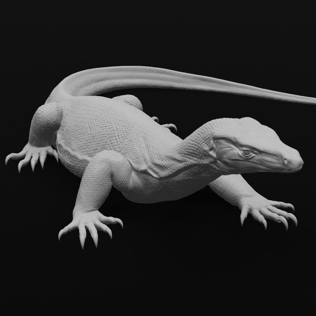 Asian Water Monitor - Lizard Reptile -  3D Print Model 3D print model_11