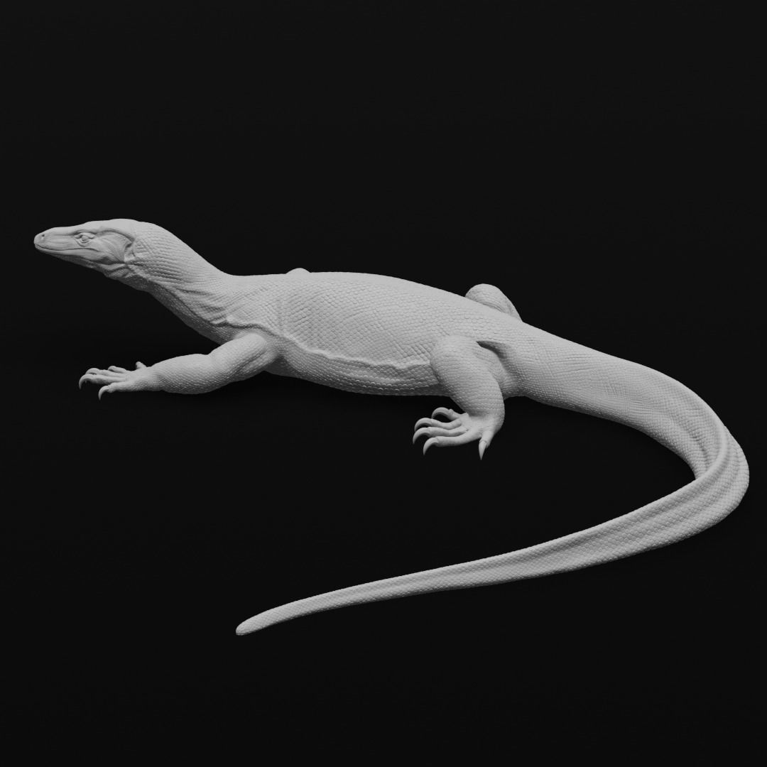 Asian Water Monitor - Lizard Reptile -  3D Print Model 3D print model_10