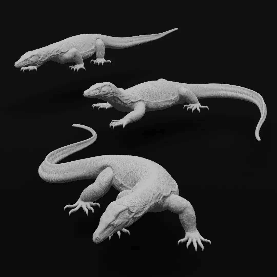 Asian Water Monitor - Lizard Reptile -  3D Print Model 3D print model_0