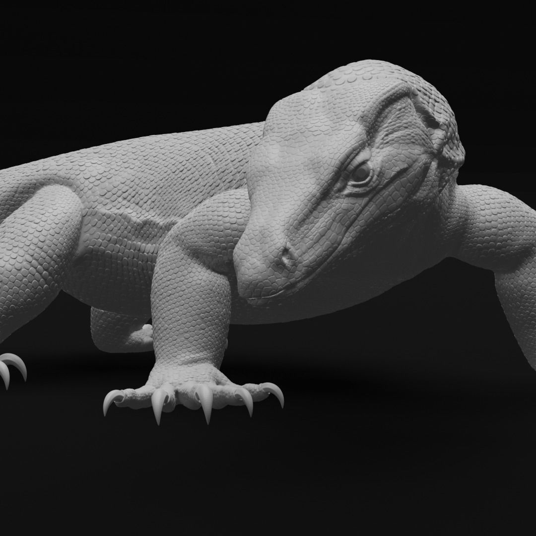 Asian Water Monitor - Lizard Reptile -  3D Print Model 3D print model_5