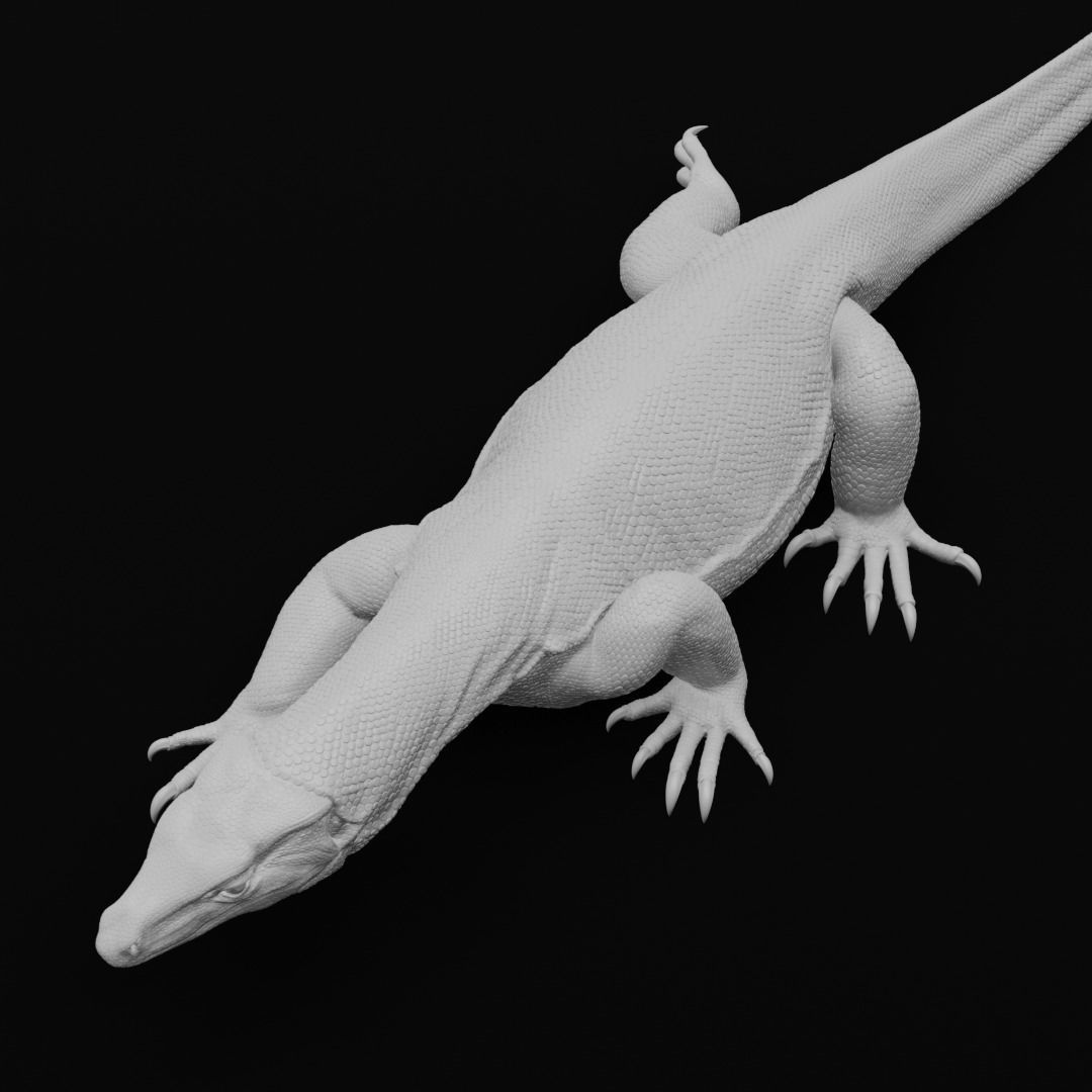 Asian Water Monitor - Lizard Reptile -  3D Print Model 3D print model_16