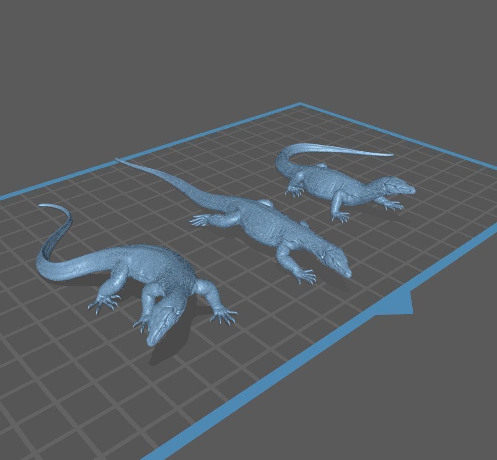 Asian Water Monitor - Lizard Reptile -  3D Print Model 3D print model_18
