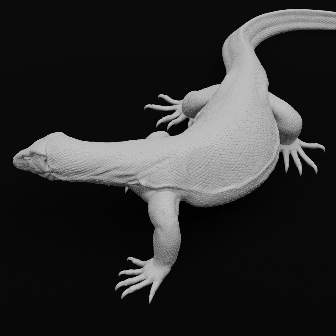 Asian Water Monitor - Lizard Reptile -  3D Print Model 3D print model_4