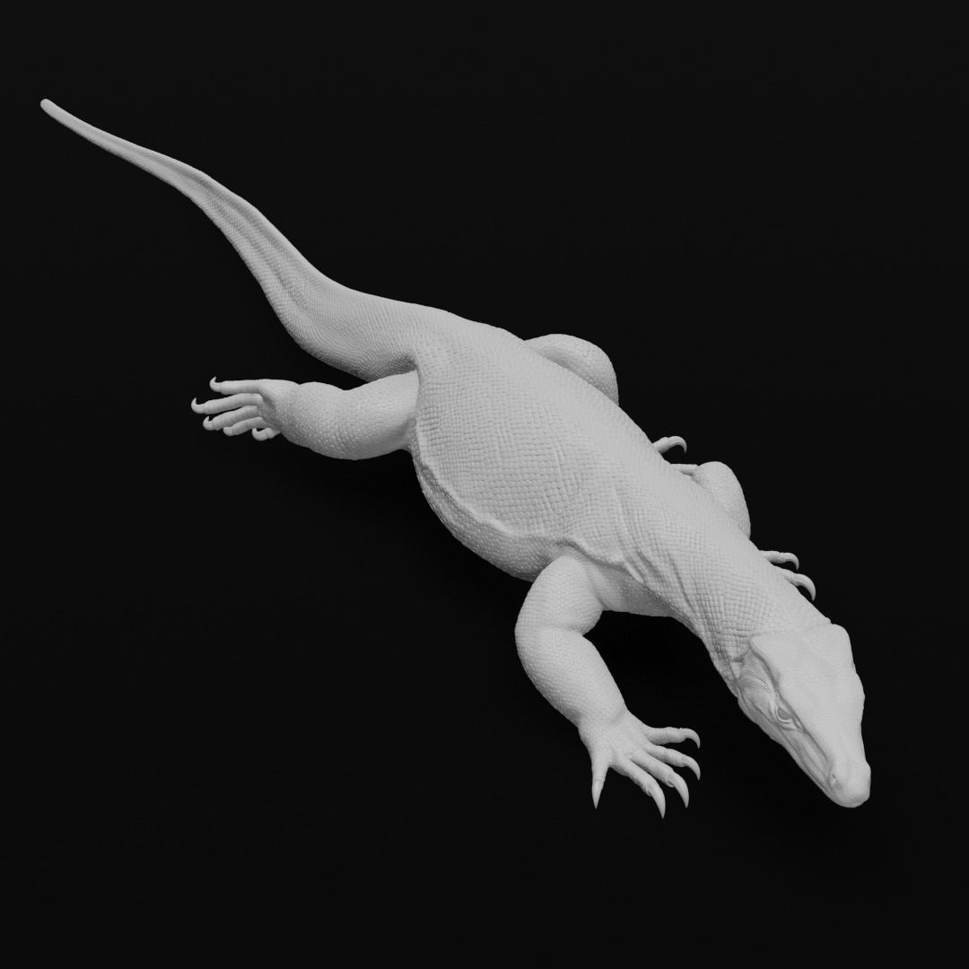 Asian Water Monitor - Lizard Reptile -  3D Print Model 3D print model_15