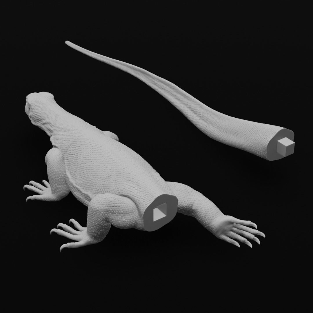 Asian Water Monitor - Lizard Reptile -  3D Print Model 3D print model_17