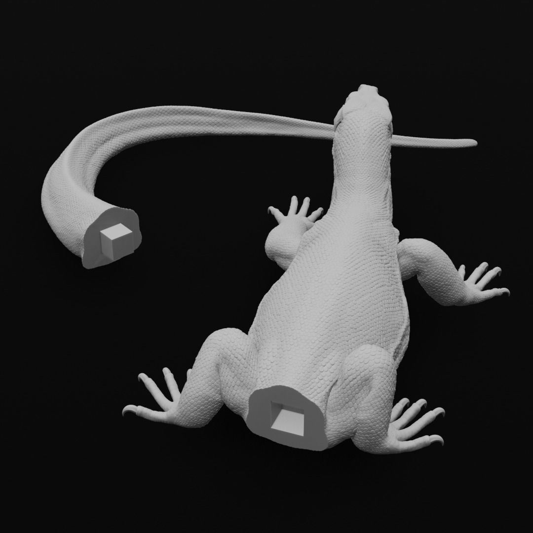 Asian Water Monitor - Lizard Reptile -  3D Print Model 3D print model_12