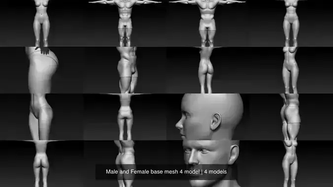 Male and Female base mesh 4 model 3D Model Collection