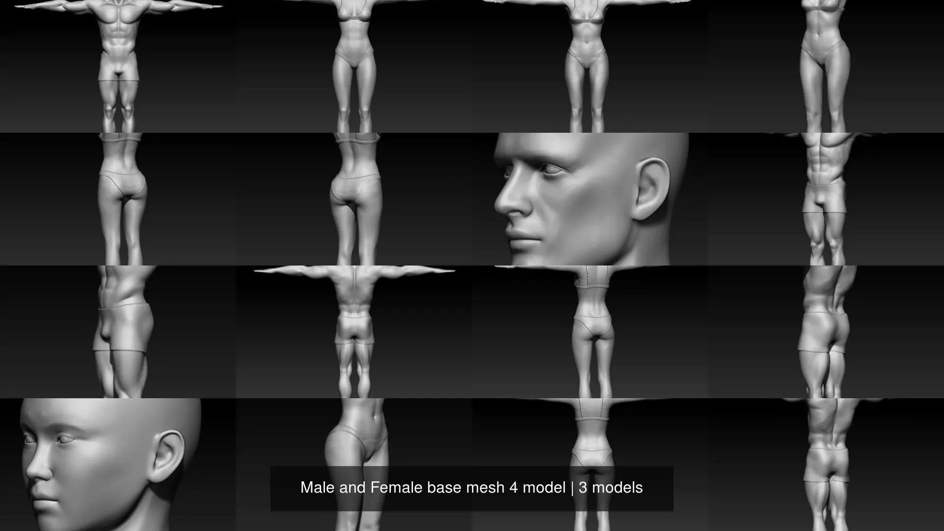 Male and Female base mesh 4 model 3D Model Collection_0