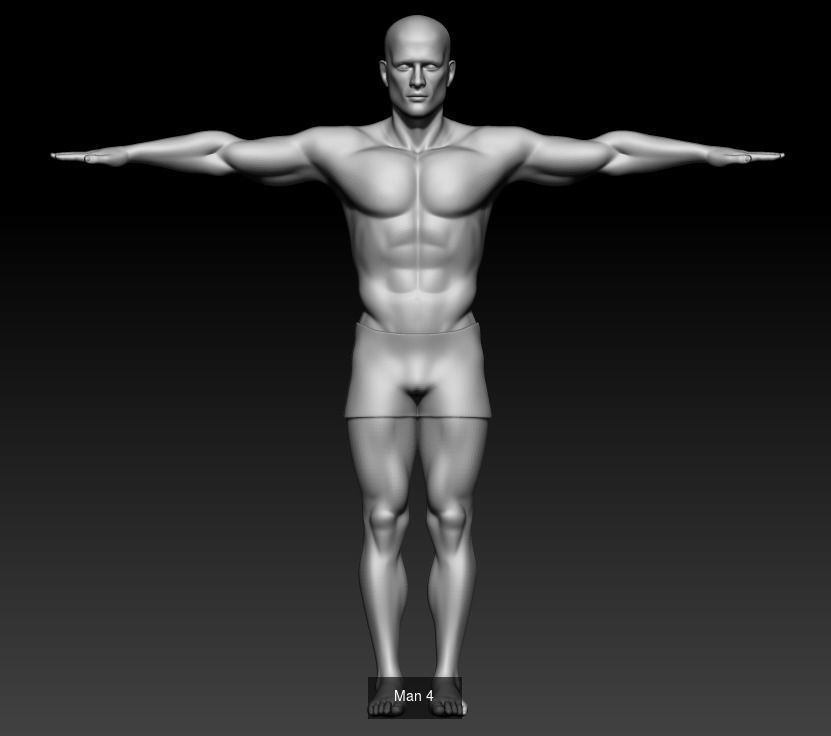 Male and Female base mesh 4 model 3D Model Collection_1