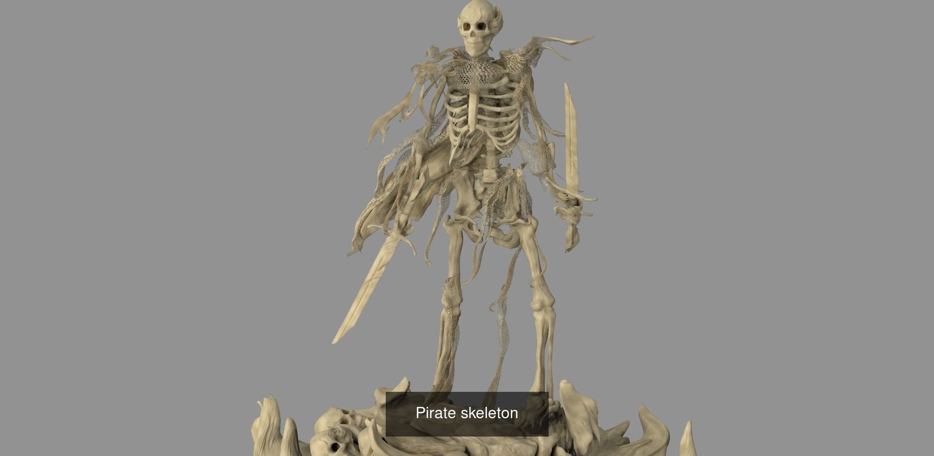 Skeleton collection 1 _2