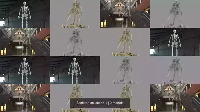 Skeleton collection 1 