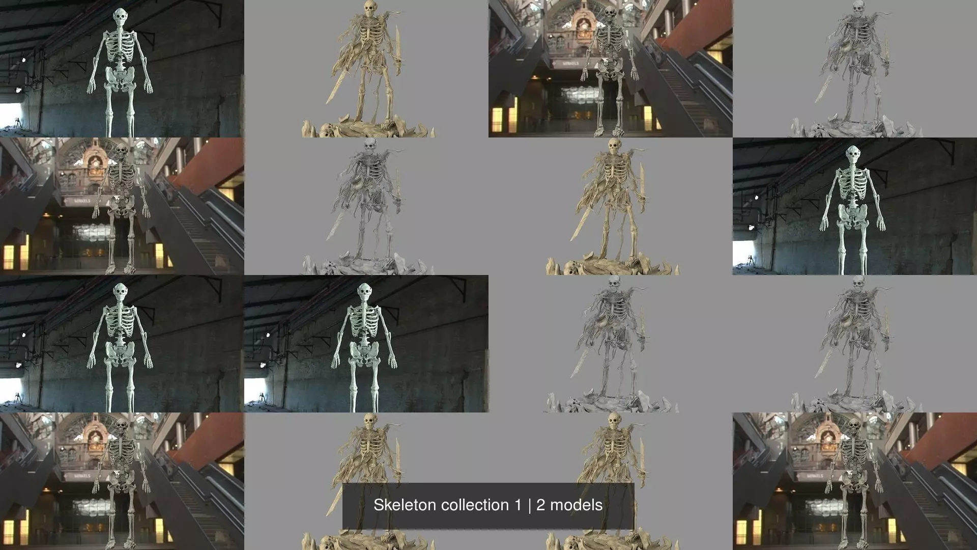 Skeleton collection 1 _0