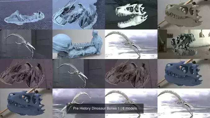 Pre History Dinosaur Bones 1 3D Model Collection