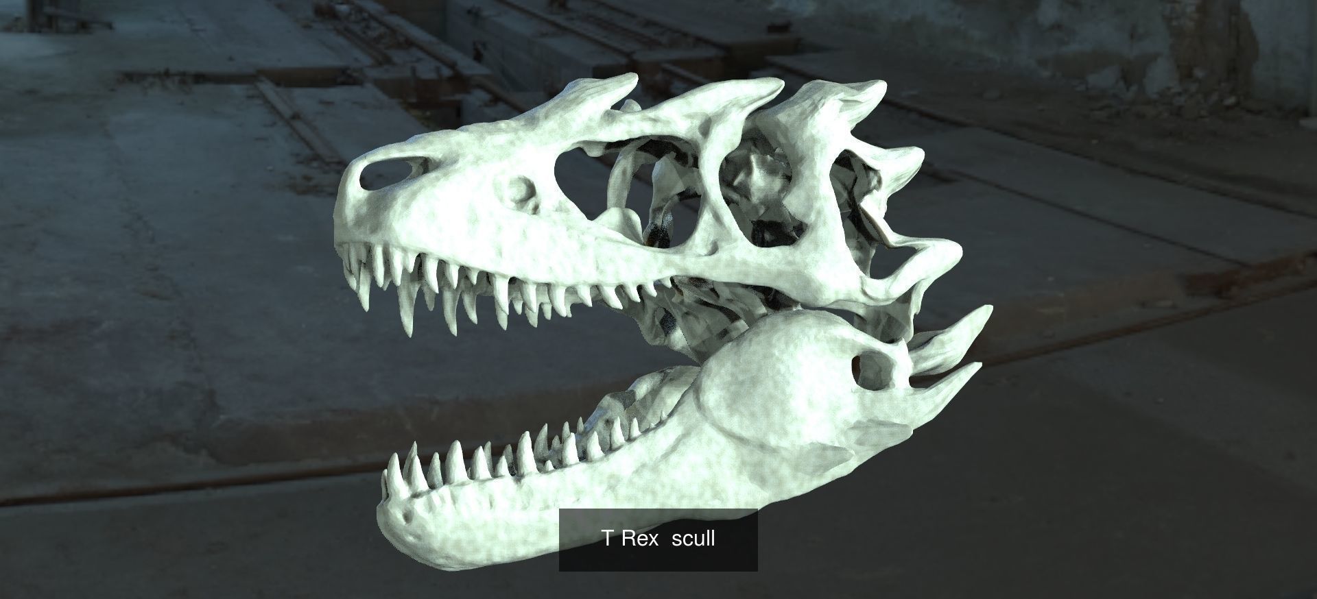 Pre History Dinosaur Bones 1 3D Model Collection_3