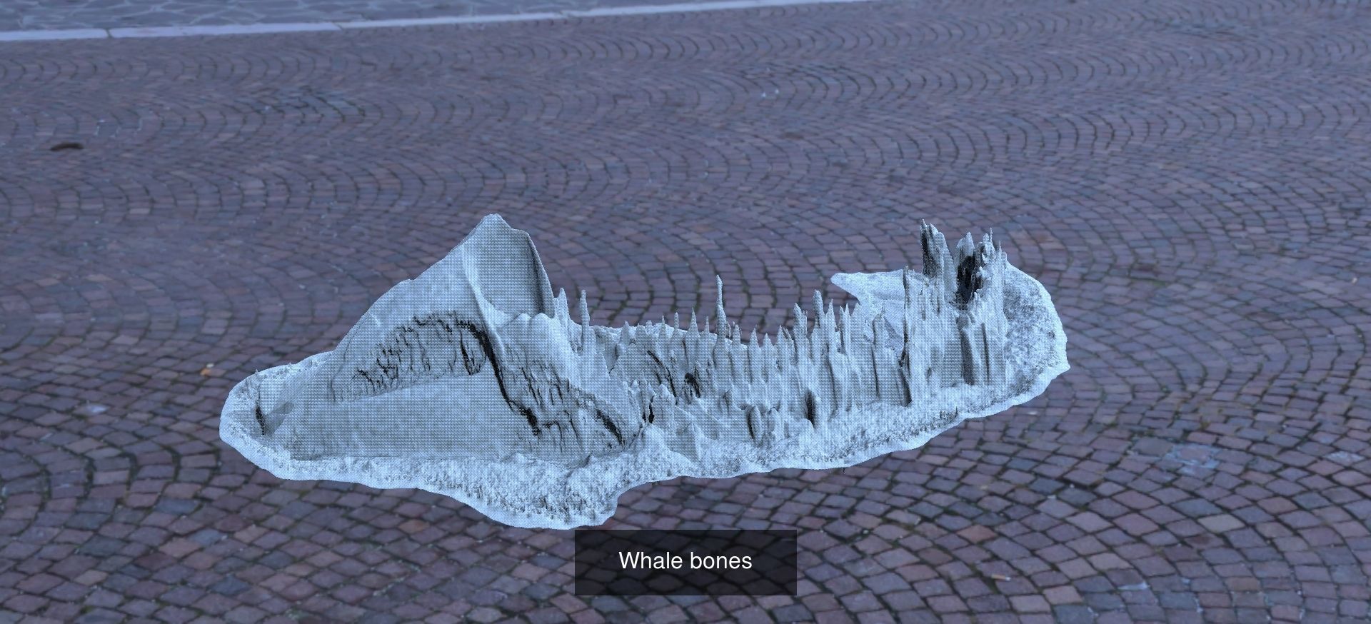 Pre History Dinosaur Bones 1 3D Model Collection_1