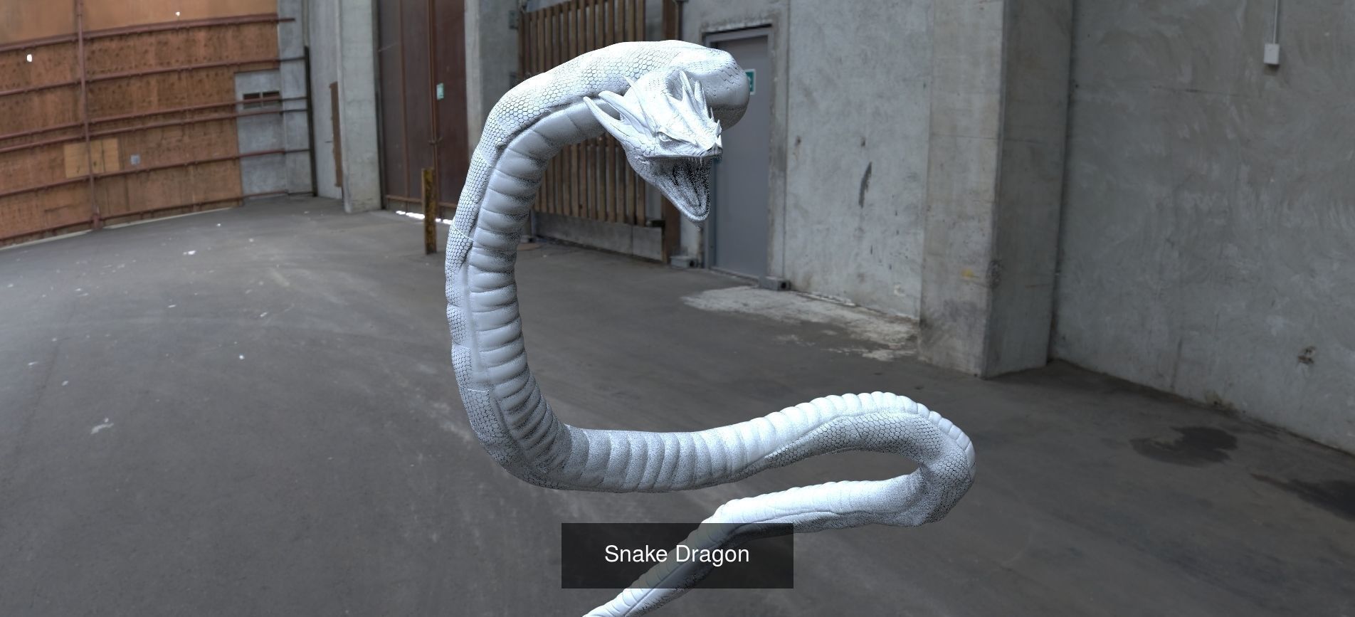 Snake accessory collection 1 _6