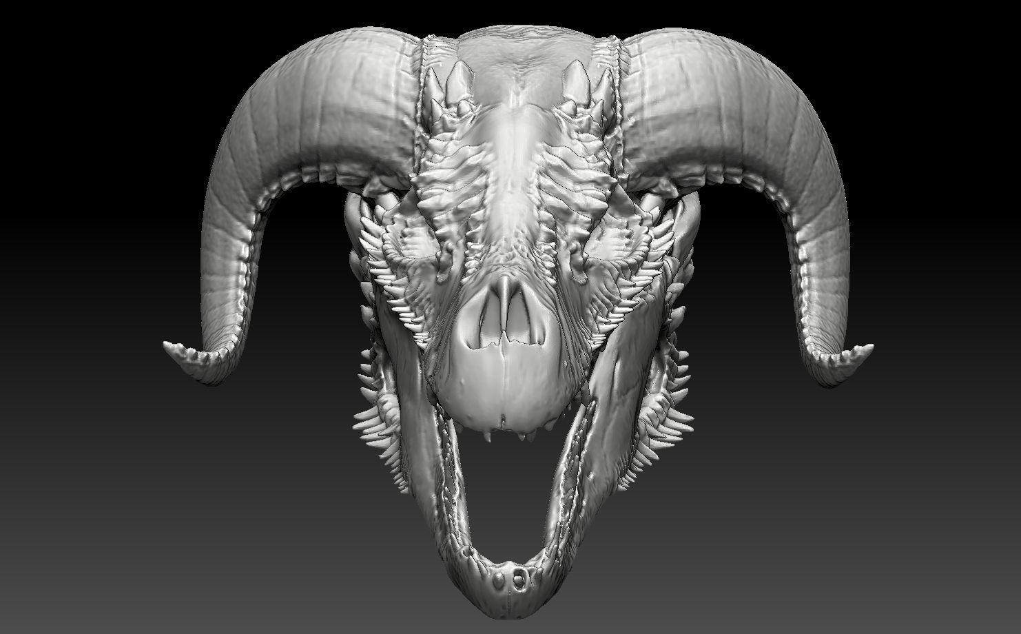dragon skull 1 3D print model_2