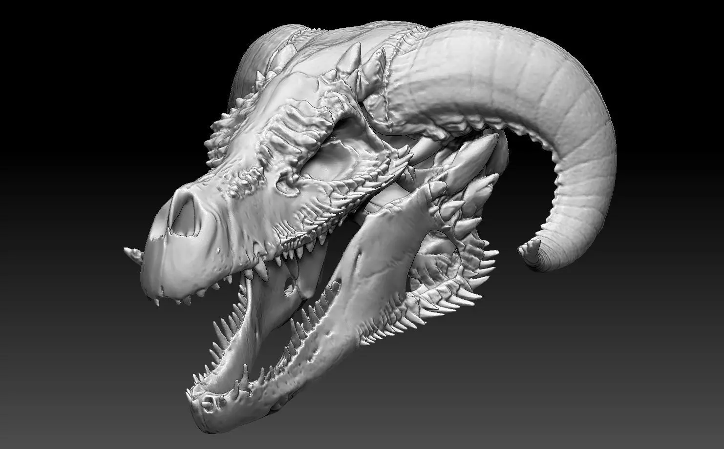 dragon skull 1 3D print model_0