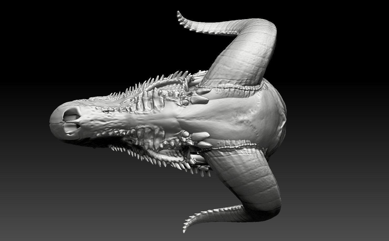 dragon skull 1 3D print model_5